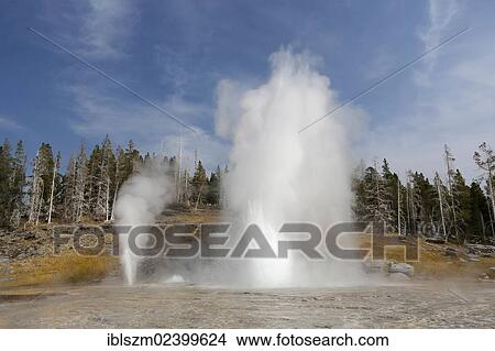 "Grand Geyser eruption, Yellowstone National Park, Wyoming, USA" View Large Photo Image Picture - "Grand Geyser eruption, Yellowstone National Park, Wyoming, USA". Fotosearch