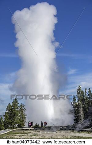 "Grand Geyser, Upper Geyser Basin, Yellowstone National Park, Wyoming, United States, North America" View Large Photo Image Stock Image - "Grand Geyser, Upper Geyser Basin, Yellowstone National Park, Wyoming, United States, North America". Fotosearch