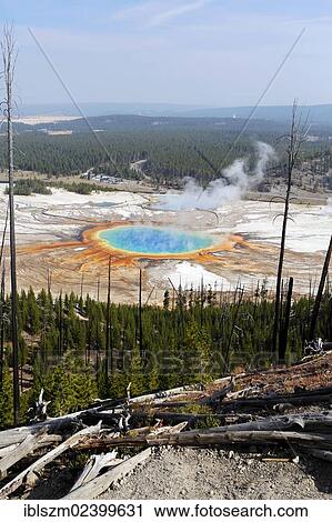 "Grand Prismatic Spring, Yellowstone National Park, Wyoming, USA" View Large Photo Image Stock Image - "Grand Prismatic Spring, Yellowstone National Park, Wyoming, USA". Fotosearch