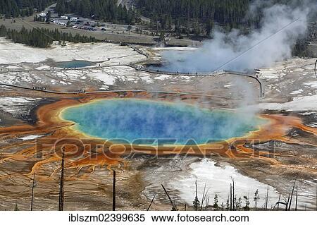 "Grand Prismatic Spring, Yellowstone National Park, Wyoming, USA" View Large Photo Image Stock Photography - "Grand Prismatic Spring, Yellowstone National Park, Wyoming, USA". Fotosearch