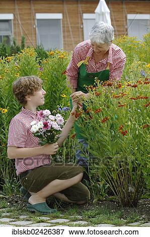 Grandmother and grandson are working together in the garden View Large Photo Image Stock Photo - Grandmother and grandson are working together in the garden. Fotosearch