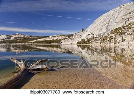 "Granite rocks being reflected in Tenaya Lake, Yosemite National Park, California, United States, North America" View Large Photo Image Stock Image - "Granite rocks being reflected in Tenaya Lake, Yosemite National Park, California, United States, North America". Fotosearch