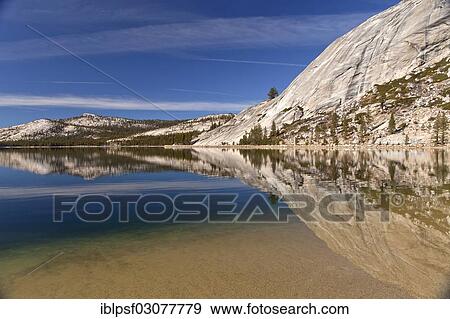"Granite rocks being reflected in Tenaya Lake, Yosemite National Park, California, United States, North America" View Large Photo Image Stock Photo - "Granite rocks being reflected in Tenaya Lake, Yosemite National Park, California, United States, North America". Fotosearch