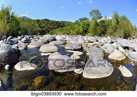 "Granite rocks on the upper reaches of the Fango River, Fango Valley, Corsica, France, Europe" View Large Photo Image Stock Image - "Granite rocks on the upper reaches of the Fango River, Fango Valley, Corsica, France, Europe". Fotosearch