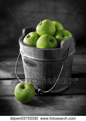 Granny Smith apples in a wooden bucket View Large Photo Image Stock Image - Granny Smith apples in a wooden bucket. Fotosearch