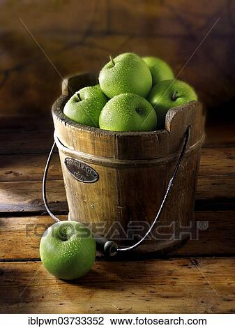 Granny Smith apples in a wooden bucket View Large Photo Image Stock Image - Granny Smith apples in a wooden bucket. Fotosearch