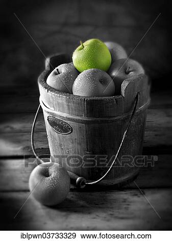 Granny Smith apples in a wooden bucket View Large Photo Image Stock Photo - Granny Smith apples in a wooden bucket. Fotosearch