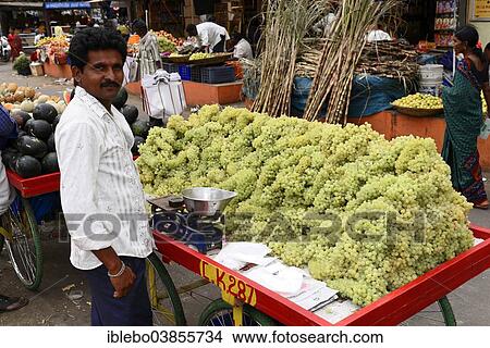 "Grapes, market stall, Mysore, Karnataka, South India, India, Asia" View Large Photo Image Picture - "Grapes, market stall, Mysore, Karnataka, South India, India, Asia". Fotosearch