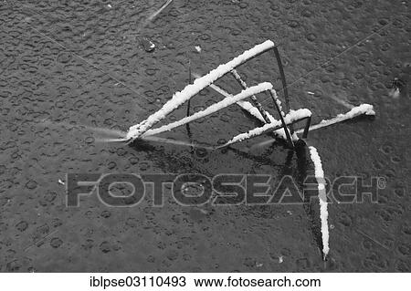 Grass covered with snow on a frozen lake View Large Photo Image Stock Image - Grass covered with snow on a frozen lake. Fotosearch