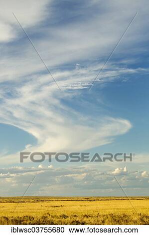 "Grass savannah with atmospheric clouds, Etosha National Park, Namibia, Africa" View Large Photo Image Stock Image - "Grass savannah with atmospheric clouds, Etosha National Park, Namibia, Africa". Fotosearch