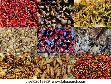 "Grasshoppers, worms, chili, fish, spring rolls, typical foods of Thailand, Southeast Asia, Asia" View Large Photo Image Stock Photo - "Grasshoppers, worms, chili, fish, spring rolls, typical foods of Thailand, Southeast Asia, Asia". Fotosearch