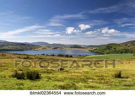 "Grasslands in Great Glen North with Loch Ruthven, North West Highlands, Scotland, United Kingdom, Europe" View Large Photo Image Picture - "Grasslands in Great Glen North with Loch Ruthven, North West Highlands, Scotland, United Kingdom, Europe". Fotosearch