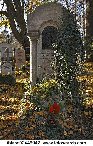 "Grave with ivy (Hedera helix) and autumn leaves on the Ostfriedhof or East Cemetery, Munich, Bavaria, Germany, Europe" View Large Photo Image Stock Image - "Grave with ivy (Hedera helix) and autumn leaves on the Ostfriedhof or East Cemetery, Munich, Bavaria, Germany, Europe". Fotosearch