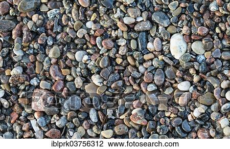 "Gravel on the beach, Mecklenburg-Western Pomerania, Germany, Europe" View Large Photo Image Stock Image - "Gravel on the beach, Mecklenburg-Western Pomerania, Germany, Europe". Fotosearch