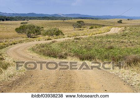 "Gravel road through the countryside, iSimangaliso Wetland Park, St Lucia, KwaZulu-Natal, South Africa, Africa" View Large Photo Image Stock Photo - "Gravel road through the countryside, iSimangaliso Wetland Park, St Lucia, KwaZulu-Natal, South Africa, Africa". Fotosearch