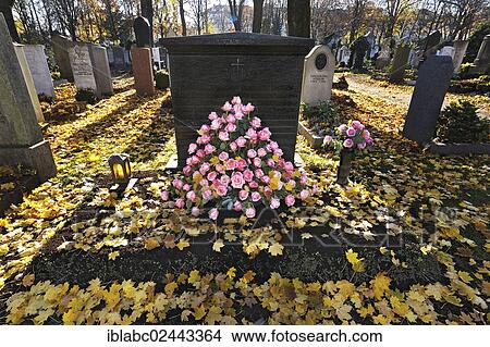 "Graves with autumn leaves and Roses (Rosa), Ostfriedhof cemetery, Munich, Bavaria, Germany, Europe" View Large Photo Image Picture - "Graves with autumn leaves and Roses (Rosa), Ostfriedhof cemetery, Munich, Bavaria, Germany, Europe". Fotosearch