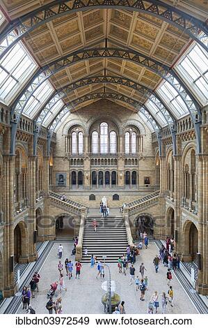 "Great entrance hall, Natural History Museum, Kensington, London, England, United Kingdom, Europe" View Large Photo Image Stock Photo - "Great entrance hall, Natural History Museum, Kensington, London, England, United Kingdom, Europe". Fotosearch