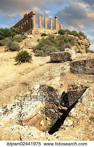 "Greek Temple of Juno Lacina, Agrigento, Sicily, Italy, Europe" View Large Photo Image Stock Photography - "Greek Temple of Juno Lacina, Agrigento, Sicily, Italy, Europe". Fotosearch