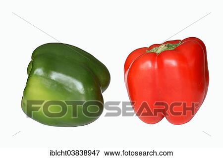 Stock Photo - Green and Red Bell Peppers (Capsicum annuum). Fotosearch