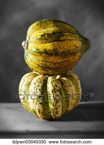 Green and yellow pumpkins View Large Photo Image Stock Image - Green and yellow pumpkins. Fotosearch