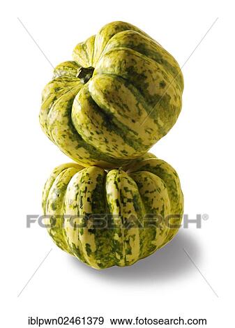 Green and yellow pumpkins View Large Photo Image Stock Photo - Green and yellow pumpkins. Fotosearch