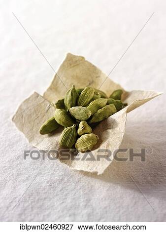 Green Cardomom seeds View Large Photo Image Stock Photo - Green Cardomom seeds. Fotosearch