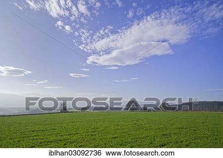 "Green fields, looking towards Grossauer Hoehe, Berndorf-St. Veit, Triestingtal, Niederosterreich, Austria, Europe" View Large Photo Image Stock Photograph - "Green fields, looking towards Grossauer Hoehe, Berndorf-St. Veit, Triestingtal, Niederosterreich, Austria, Europe". Fotosearch