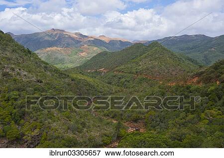 "Green hills in the centre of Grande Terre, Grande Terre, New Caledonia, France, Oceania" View Large Photo Image Stock Photo - "Green hills in the centre of Grande Terre, Grande Terre, New Caledonia, France, Oceania". Fotosearch