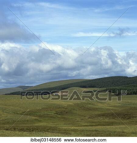 Stock Photograph - "Green hilly landscape of Cezallier in the Parc Naturel Regional des Volcans d'Auvergne, Auvergne Volcanoes Regional Nature Park, Cezllier, Cezallier, Auvergne, France, Europe". Fotosearch