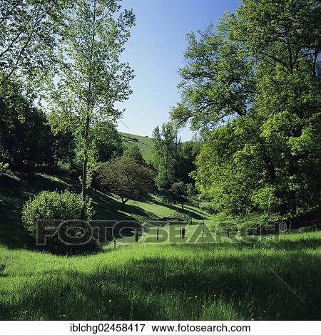 "Green landscape, Sioule valley, Bourbonnais, Auvergne, France, Europe" View Large Photo Image Stock Photo - "Green landscape, Sioule valley, Bourbonnais, Auvergne, France, Europe". Fotosearch