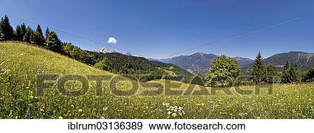 "Green meadow on Eckbauer Mountain, Eckbauer, Garmisch-Partenkirchen, Upper Bavaria, Bavaria, Germany, Europe" View Large Photo Image Stock Photo - "Green meadow on Eckbauer Mountain, Eckbauer, Garmisch-Partenkirchen, Upper Bavaria, Bavaria, Germany, Europe". Fotosearch