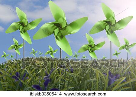 Picture - Green pinwheels on a green meadow. Fotosearch