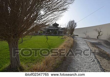 Stock Photography - "Green watered garden at a Buddhist pagoda in the sand dunes of the Gobi Desert on Crescent Lake and Mount Mingshan near Dunhuang, Silk Road, Gansu, China, Asia". Fotosearch