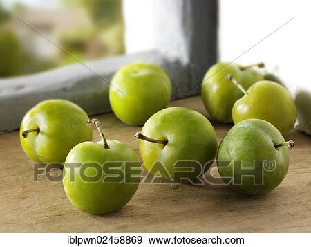 Stock Photo - Greengages. Fotosearch