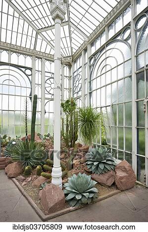 Stock Photo - "Greenhouse with cacti, Wilhelma Zoo and Botanical Garden, Stuttgart, Baden-Wurttemberg, Germany, Europe". Fotosearch