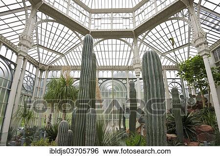 "Greenhouse with cacti, Wilhelma Zoo and Botanical Garden, Stuttgart, Baden-Wurttemberg, Germany, Europe" View Large Photo Image Stock Photograph - "Greenhouse with cacti, Wilhelma Zoo and Botanical Garden, Stuttgart, Baden-Wurttemberg, Germany, Europe". Fotosearch