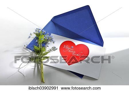 Stock Image - "Greeting card, """"Vergiss mein nicht"""", German for """"Forget me not"""" with a blue envelope and a bouquet of Forget-Me-Not flowers". Fotosearch