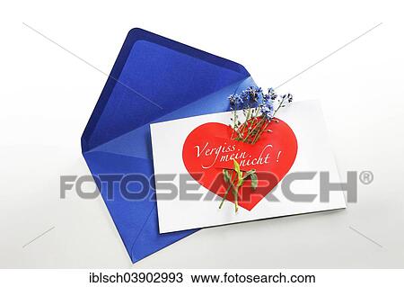 "Greeting card, """"Vergiss mein nicht"""", German for """"Forget me not"""" with a blue envelope and a bouquet of Forget-Me-Not flowers" View Large Photo Image Stock Image - "Greeting card, """"Vergiss mein nicht"""", German for """"Forget me not"""" with a blue envelope and a bouquet of Forget-Me-Not flowers". Fotosearch