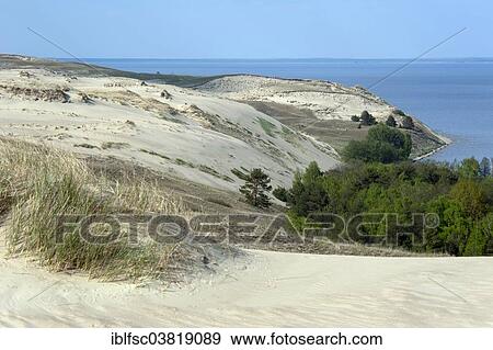 "Grey Dunes, Curonian Spit, Lithuania, Baltic States, Europe" View Large Photo Image Stock Photo - "Grey Dunes, Curonian Spit, Lithuania, Baltic States, Europe". Fotosearch