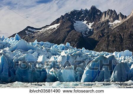 "Grey Glacier, icefall, glacier terminus, Torres del Paine National Park, Chile, South America" View Large Photo Image Stock Image - "Grey Glacier, icefall, glacier terminus, Torres del Paine National Park, Chile, South America". Fotosearch