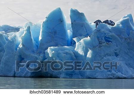 "Grey Glacier, icefall, glacier terminus, Torres del Paine National Park, Chile, South America" View Large Photo Image Stock Photo - "Grey Glacier, icefall, glacier terminus, Torres del Paine National Park, Chile, South America". Fotosearch
