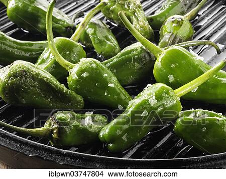 Griddled whole padron peppers View Large Photo Image Picture - Griddled whole padron peppers. Fotosearch