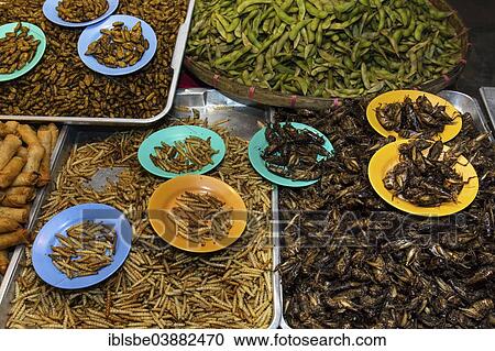 Stock Image - "Grilled silkworms and fried crickets, Thai specialties at the Night Market in Walking Street, Chiang Rai, Chiang Rai Province, Northern Thailand, Thailand, Asia". Fotosearch