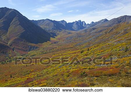 "Grizzly Valley, Mount Monolith behind, arctic or subalpine tundra, Indian summer, Tombstone Mountains Territorial Park, Yukon Territory, Canada, North America" View Large Photo Image Stock Image - "Grizzly Valley, Mount Monolith behind, arctic or subalpine tundra, Indian summer, Tombstone Mountains Territorial Park, Yukon Territory, Canada, North America". Fotosearch