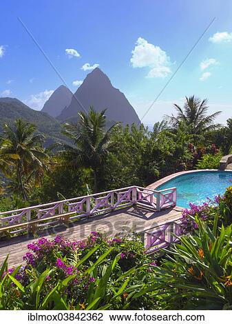 "Gros Piton and Petit Piton, volcanic cores, pool and terrace of the La Haut Resort at the front, Lesser Antilles, Windward Islands, Caribbean, Palmiste, Soufriere region, Saint Lucia, North America" View Large Photo Image Stock Image - "Gros Piton and Petit Piton, volcanic cores, pool and terrace of the La Haut Resort at the front, Lesser Antilles, Windward Islands, Caribbean, Palmiste, Soufriere region, Saint Lucia, North America". Fotosearch