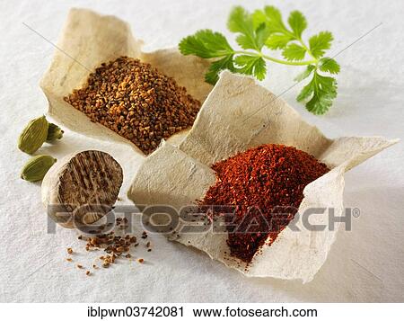 Stock Image - "Ground and whole nutmeg, ground chili and fresh coriander leaves". Fotosearch