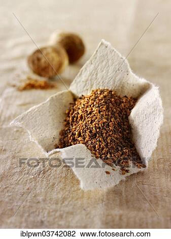 Ground and whole nutmegs View Large Photo Image Stock Image - Ground and whole nutmegs. Fotosearch