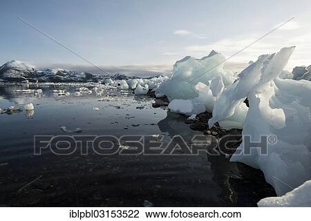 "Grounded ice floes, College Fjord, Prince William Sound, Anchorage, Alaska, United States, North America" View Large Photo Image Stock Image - "Grounded ice floes, College Fjord, Prince William Sound, Anchorage, Alaska, United States, North America". Fotosearch