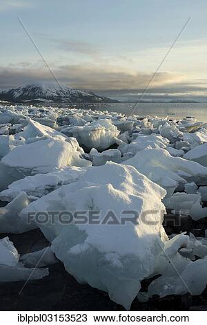 "Grounded ice floes, College Fjord, Prince William Sound, Anchorage, Alaska, United States, North America" View Large Photo Image Stock Image - "Grounded ice floes, College Fjord, Prince William Sound, Anchorage, Alaska, United States, North America". Fotosearch