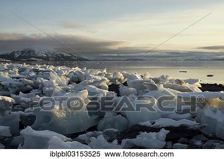 "Grounded ice floes, College Fjord, Prince William Sound, Anchorage, Alaska, United States, North America" View Large Photo Image Stock Photography - "Grounded ice floes, College Fjord, Prince William Sound, Anchorage, Alaska, United States, North America". Fotosearch